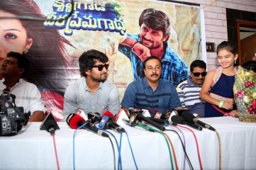 Krishna Gadi Veera Prema Gaadha Movie Success Tour